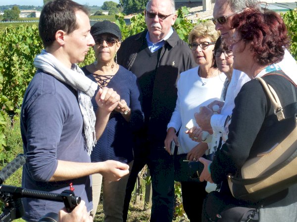 Ophorus Tours - 4-Day Small Group Bordeaux Wine Tour Package - 3* Hotel