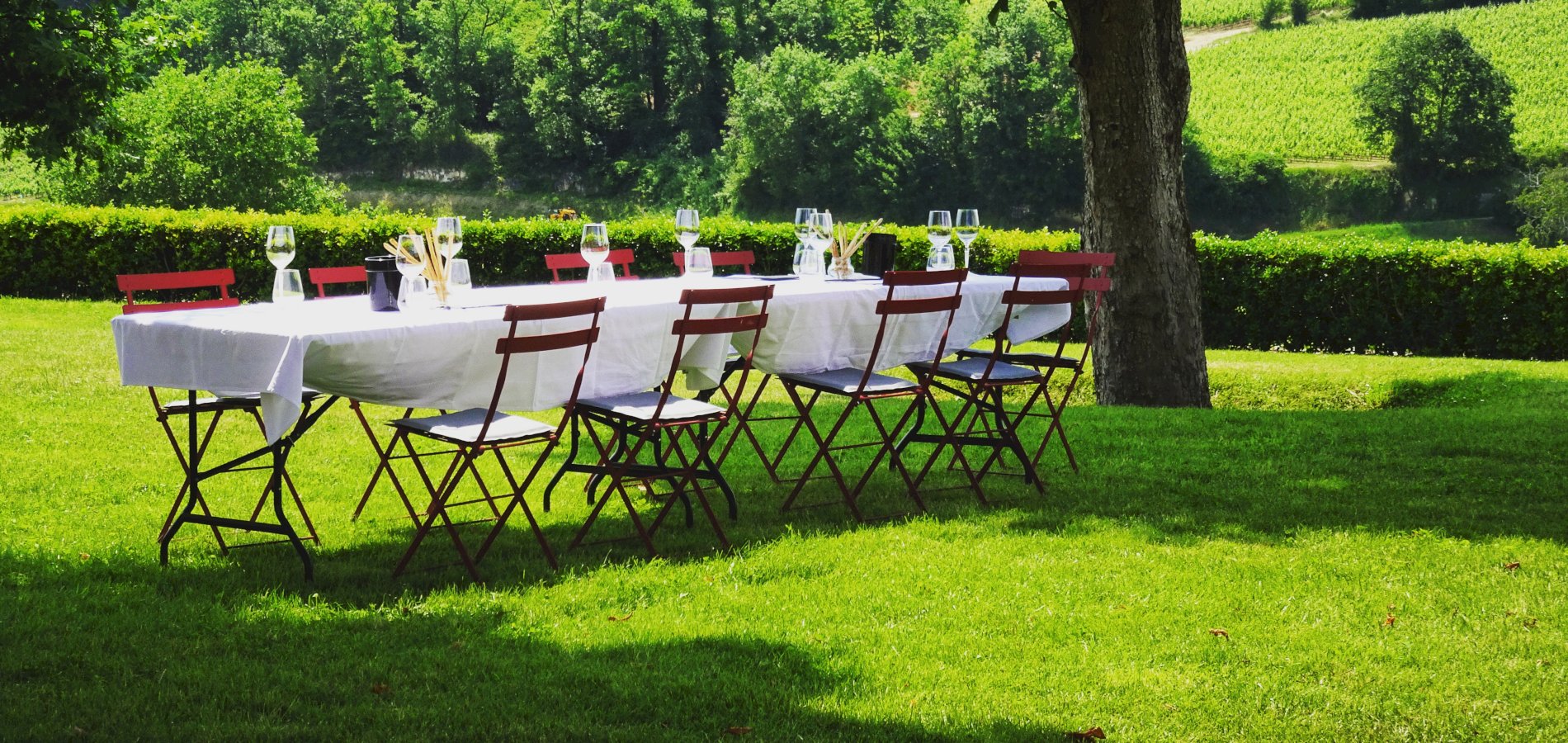 Ophorus Tours - 4-Day Private Bordeaux Wine Tour Packages - 4* Hotel