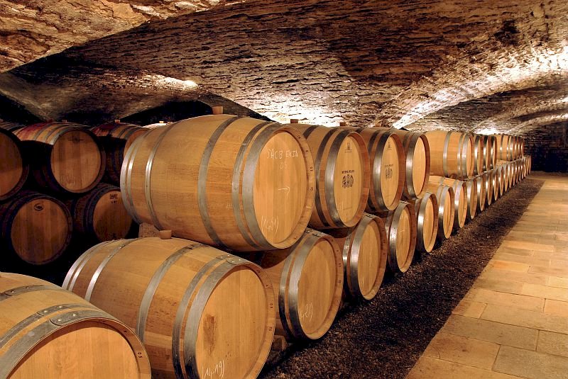 Ophorus Tours - 4-Day Private Burgundy Wine Tour Package - Dijon - 3* Hotel
