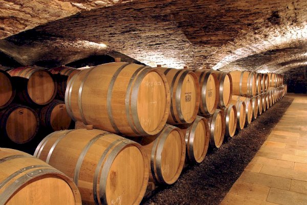 Ophorus Tours - 4-Day Private Burgundy Wine Tour Package - Dijon - 3* Hotel