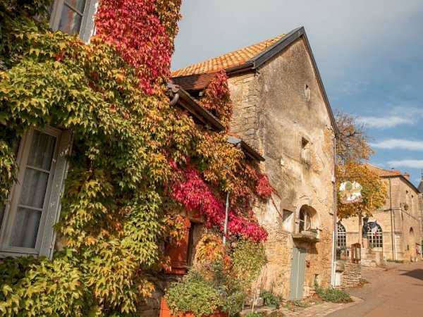 Ophorus Tours - 4-Day Private Burgundy Wine Tour Package - Dijon - 3* Hotel