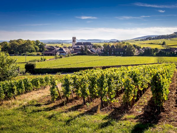 Ophorus Tours - 4-Day Private Burgundy Wine Tour Package - Dijon - 4* Hotel