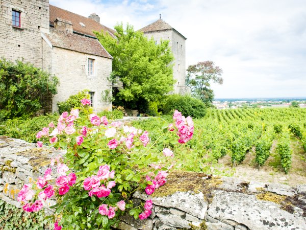 Ophorus Tours - 4-Day Private Burgundy Wine Tour Package - Dijon - 5* Hotel