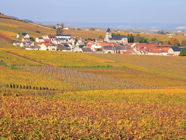 Ophorus Tours - 4-Day Private Champagne Package - Reims - 5* Hotel