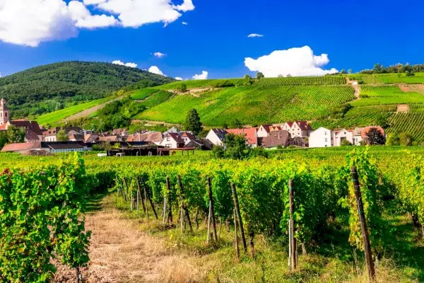 5-Day Small Group Alsace Package - Strasbourg - 3* Hotel