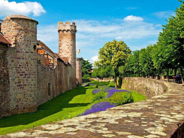 Ophorus Tours - 4-Day Small Group Alsace Package - Colmar - 3* Hotel