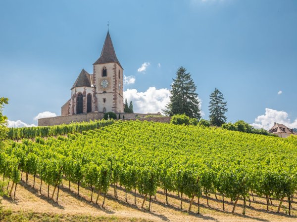 Ophorus Tours - 4-Day Small Group Alsace Package - Colmar - 3* Hotel