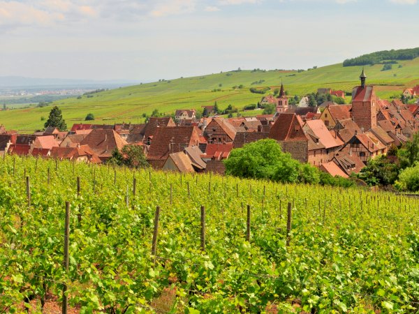 Ophorus Tours - 4-Day Small Group Alsace Package - Colmar - 3* Hotel