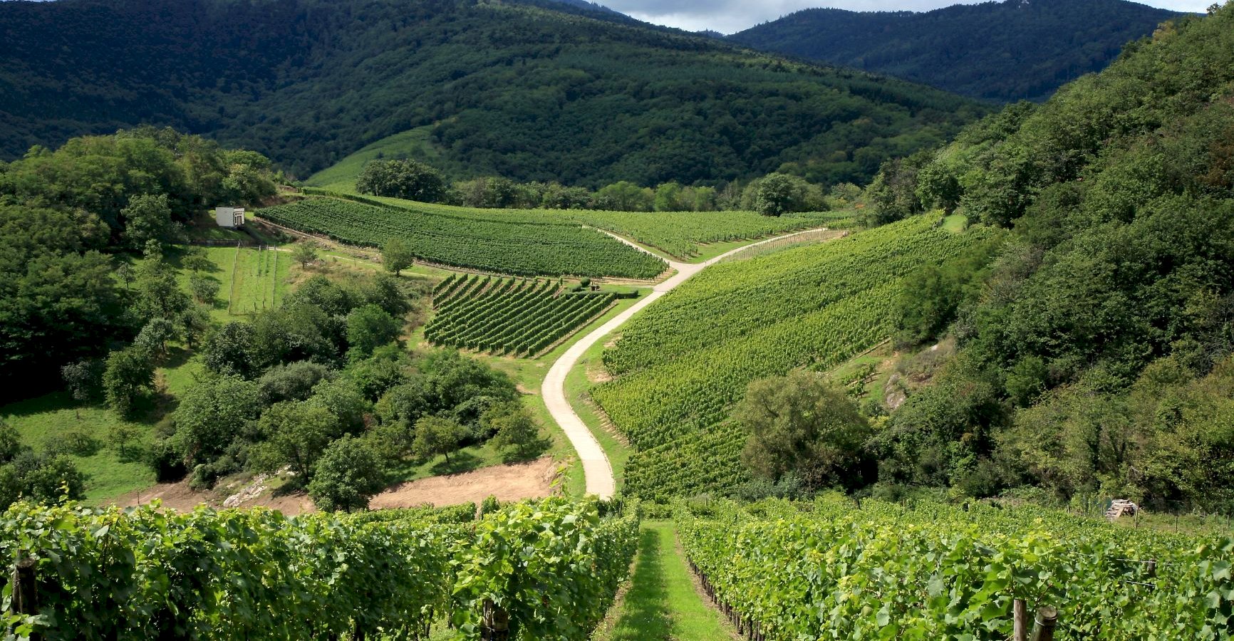 Ophorus Tours - 4-Day Small Group Alsace Package - Colmar - 4* Hotel