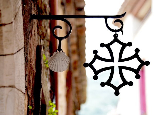 Ophorus Tours - From Montpellier Languedoc Wine Tour & Olive Oil tasting half-day trip