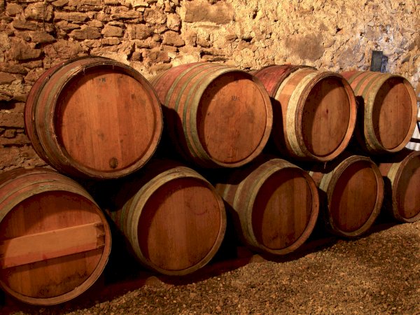 Ophorus Tours - From Montpellier Languedoc Wine Tour & Olive Oil tasting half-day trip