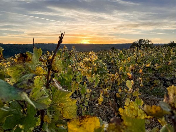 Ophorus Tours - 4-Day Small Group Burgundy Package - Dijon - 3* Hotel