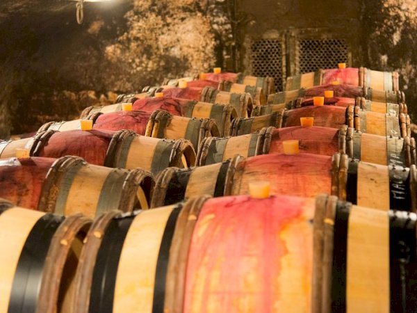 Ophorus Tours - 4-Day Small Group Burgundy Package - Dijon - 3* Hotel