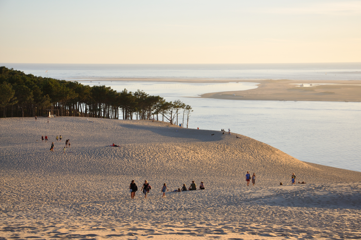 Ophorus Tours - Discover Arcachon's Charm & Pilat Dune: Private Bordeaux Shore Trip