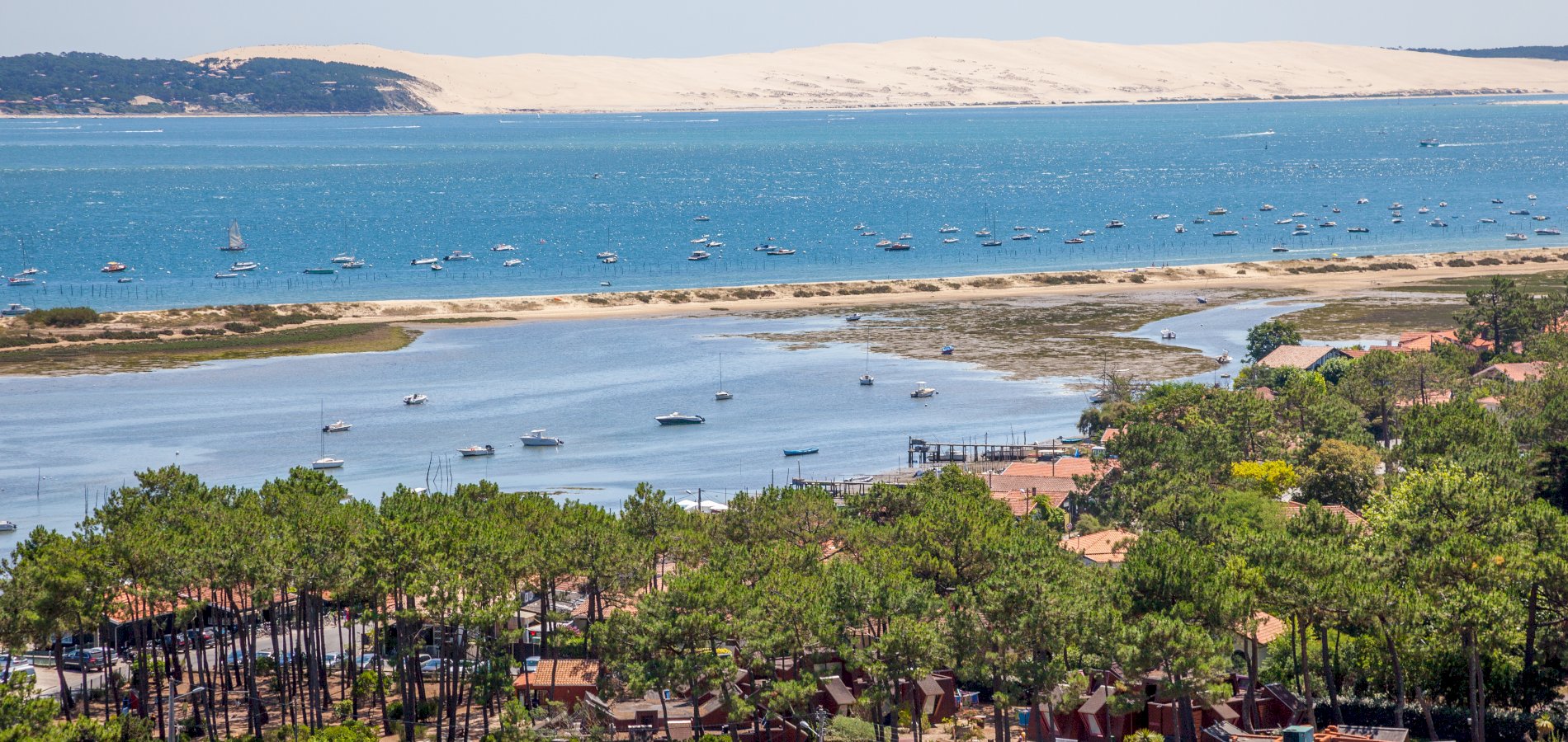 Ophorus Tours - Discover Arcachon's Charm & Pilat Dune: Private Bordeaux Shore Trip