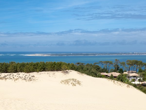 Ophorus Tours - Discover Arcachon's Charm & Pilat Dune: Private Bordeaux Shore Trip