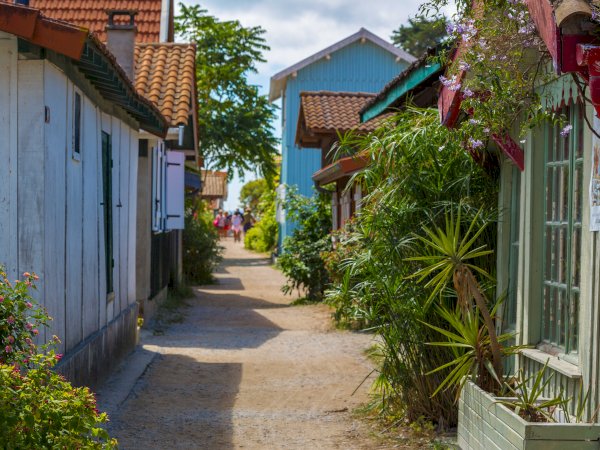Ophorus Tours - Discover Arcachon's Charm & Pilat Dune: Private Bordeaux Shore Trip