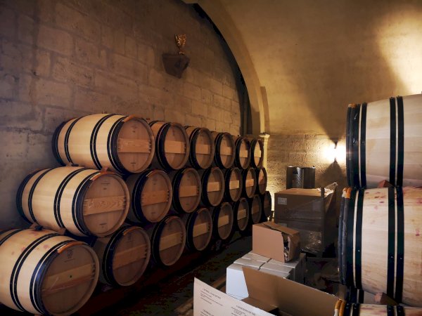 Ophorus Tours - Discover Saint-Emilion's Finest: Grand Cru Chateau, Gourmet Lunch & Monuments