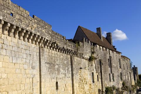 Ophorus Tours - Discover Saint-Émilion's Finest: Grand Cru Chateau, Gourmet Lunch & Monuments