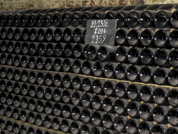 Ophorus Tours - Epernay Bubbles: Private Champagne Houses & Tastings