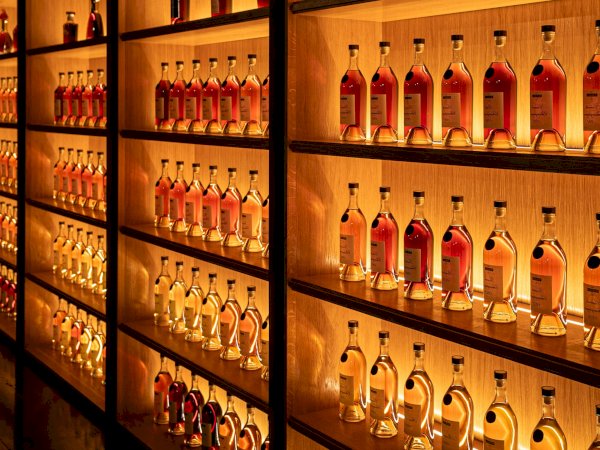 Ophorus Tours - Exclusive Cognac & Gastronomy Experience at Château de Chanteloup by Martell