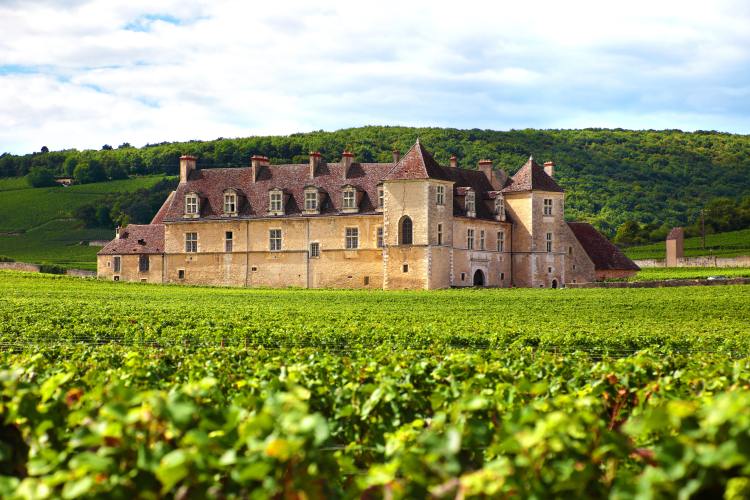 Ophorus Tours - Exclusive Full-Day Côte de Beaune Wine Tour for 2 persons – From Dijon