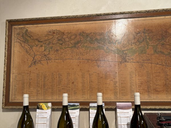 Ophorus Tours - Exclusive Full-Day Côte de Beaune Wine Tour for 2 persons – From Dijon