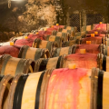 Second winery visit and tasting