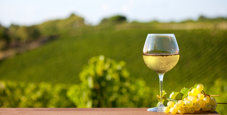 Ophorus Tours - Exclusive Half-Day Côte de Nuits Wine Tour for 2 – From Dijon