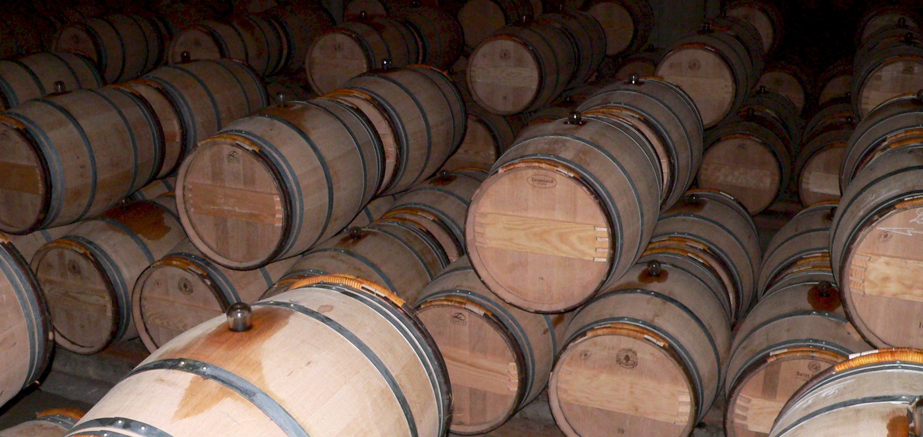 Ophorus Tours - Experience Sauternes Prestige: Château d'Yquem & Château Guiraud Wine Tour