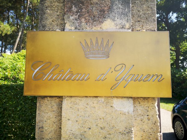 Ophorus Tours - Experience Sauternes Prestige: Château d'Yquem & Château Guiraud Wine Tour