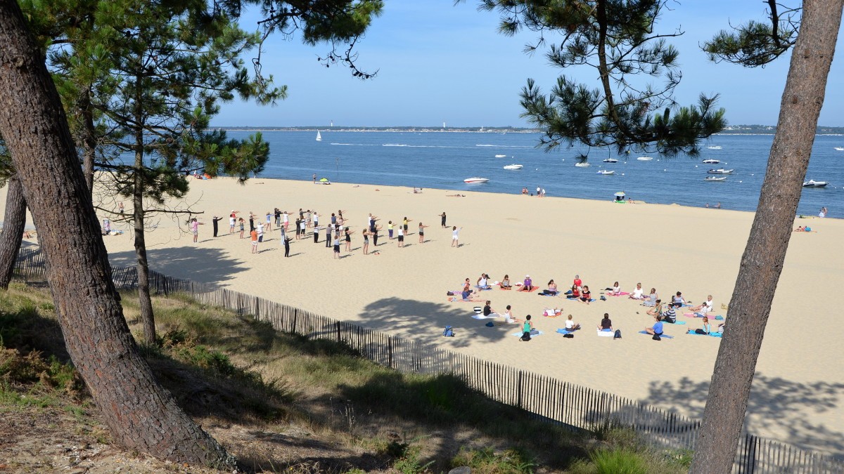 Ophorus Tours - Explore Arcachon Bay: Private Transfer from Bordeaux