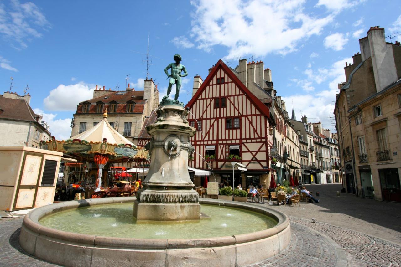 Ophorus Tours - Explore Eastern France in Style: Private Transfer Strasbourg to Dijon
