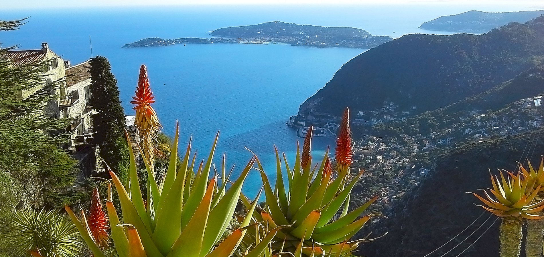 Ophorus Tours - Explore Eze, Monaco & Monte Carlo: Cannes Shore Trip