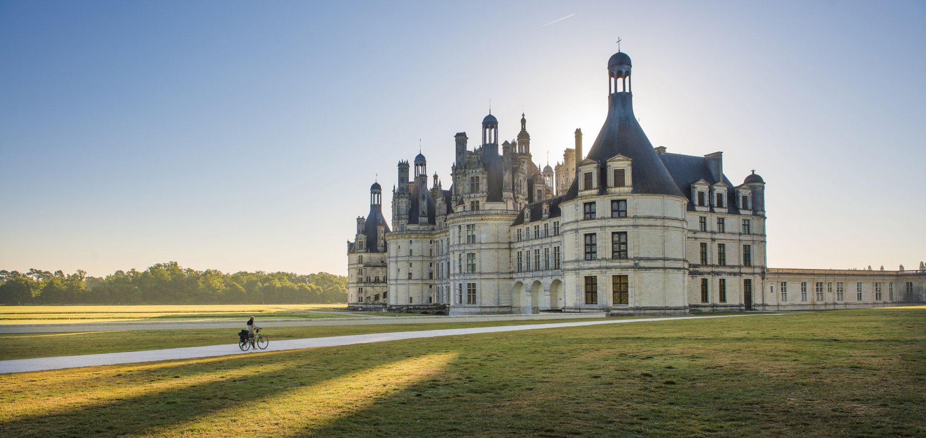 Ophorus Tours - History & Majesty: Private Loire Valley Castles Tour from Paris