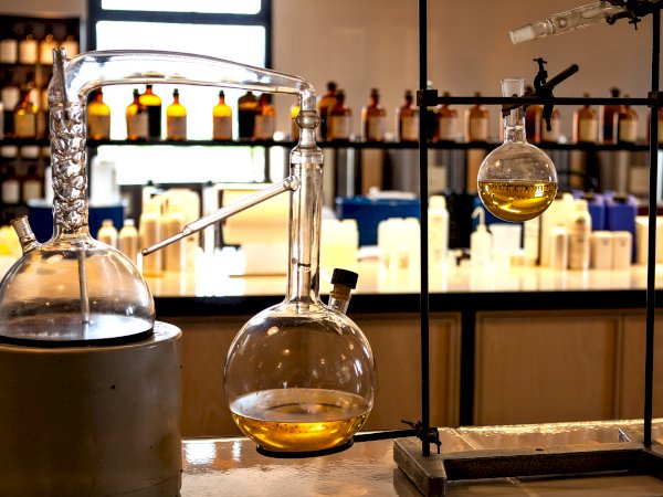 Ophorus Tours - From Nice Cruise Port to Cannes, Grasse, Gourdon & St Paul de Vence private