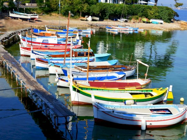 Ophorus Tours - From Nice Port to Cannes & Antibes half-day private shore excursion