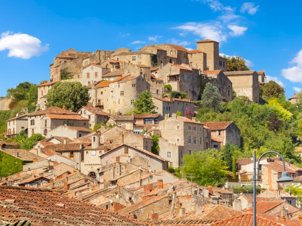Ophorus Tours - Albi, Cordes Village & Gaillac Wine Experience - Private Tour from Toulouse