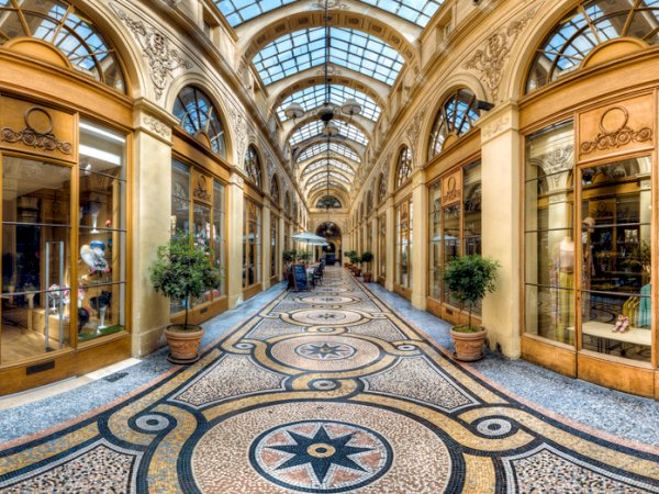 Ophorus Tours - Art & Adventure: Private Panoramic Tour of Paris & Tailored Louvre Visit