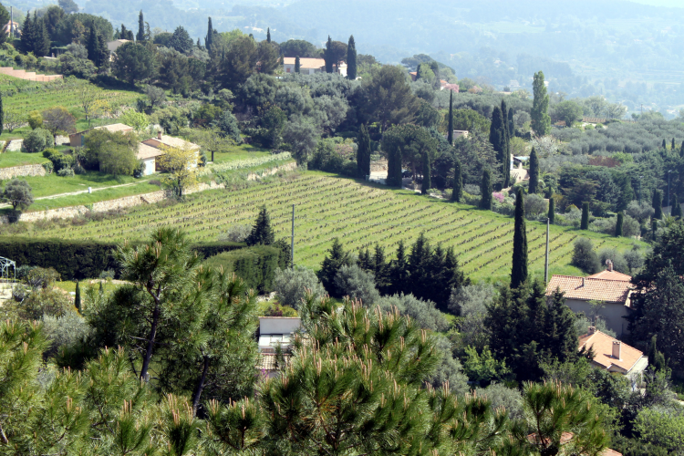 Ophorus Tours - Art & Culture in Aix-en-Provence: Private Day Tour from Marseille