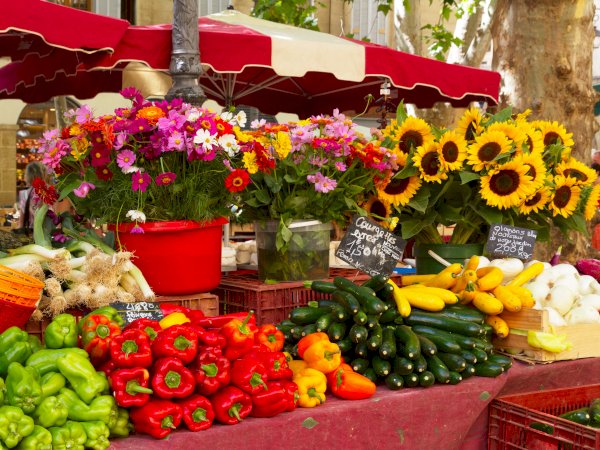 Ophorus Tours - Art & Culture in Aix-en-Provence: Private Day Tour from Marseille