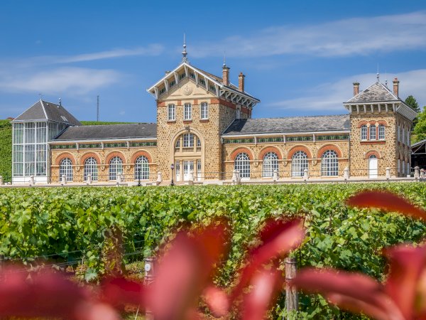 Ophorus Tours - Beyond Reims: Private Champagne Tour with Epernay Visit 