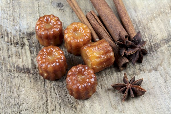 Ophorus Tours - Bordeaux Beyond the Bottle: Private Gourmet Food & Wine Tour