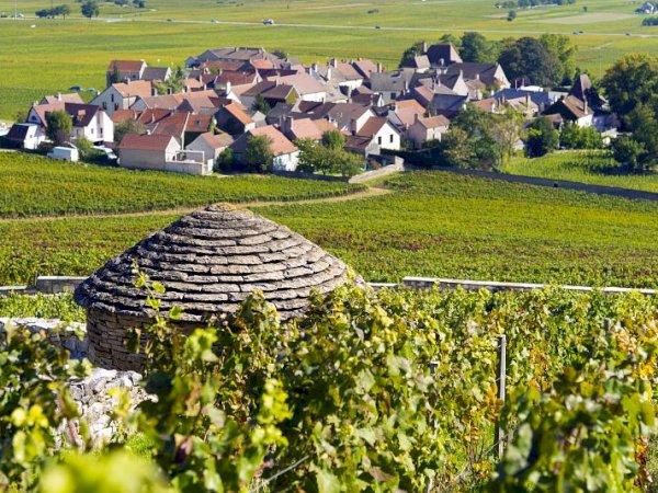 Ophorus Tours - 4-Day Small Group Burgundy Package - Dijon - 5* Hotel