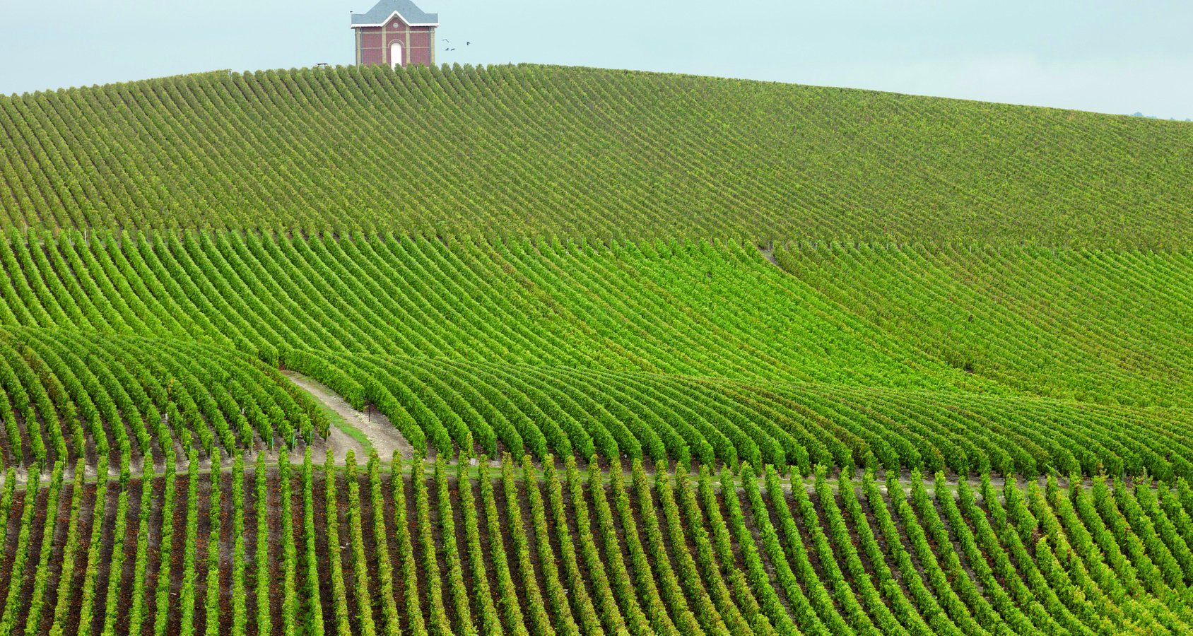 Ophorus Tours - 4-Day Small Group Champagne Package - Reims - 4* Hotel