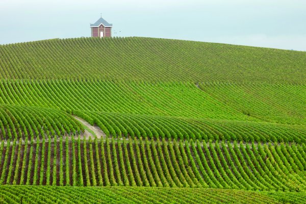 Ophorus Tours - 4-Day Small Group Champagne Package - Reims - 4* Hotel