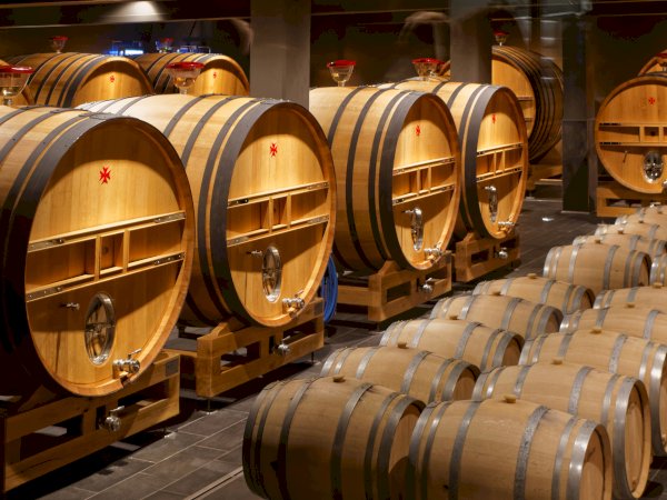 Ophorus Tours - 4-Day Small Group Champagne Package - Reims - 5* Hotel