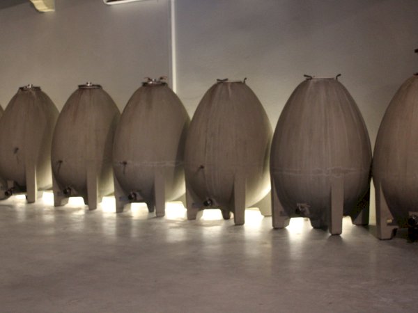 Ophorus Tours - Medoc Wine Immersion Full day Bordeaux Vineyard Tour