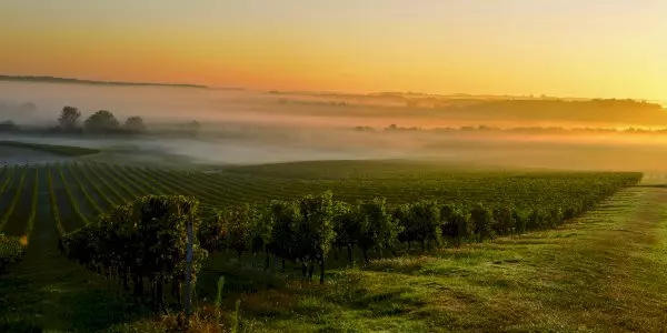 Medoc Wine Immersion Full day Small Group Bordeaux Vineyard Tour