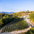 Scenic Drive Through Provence